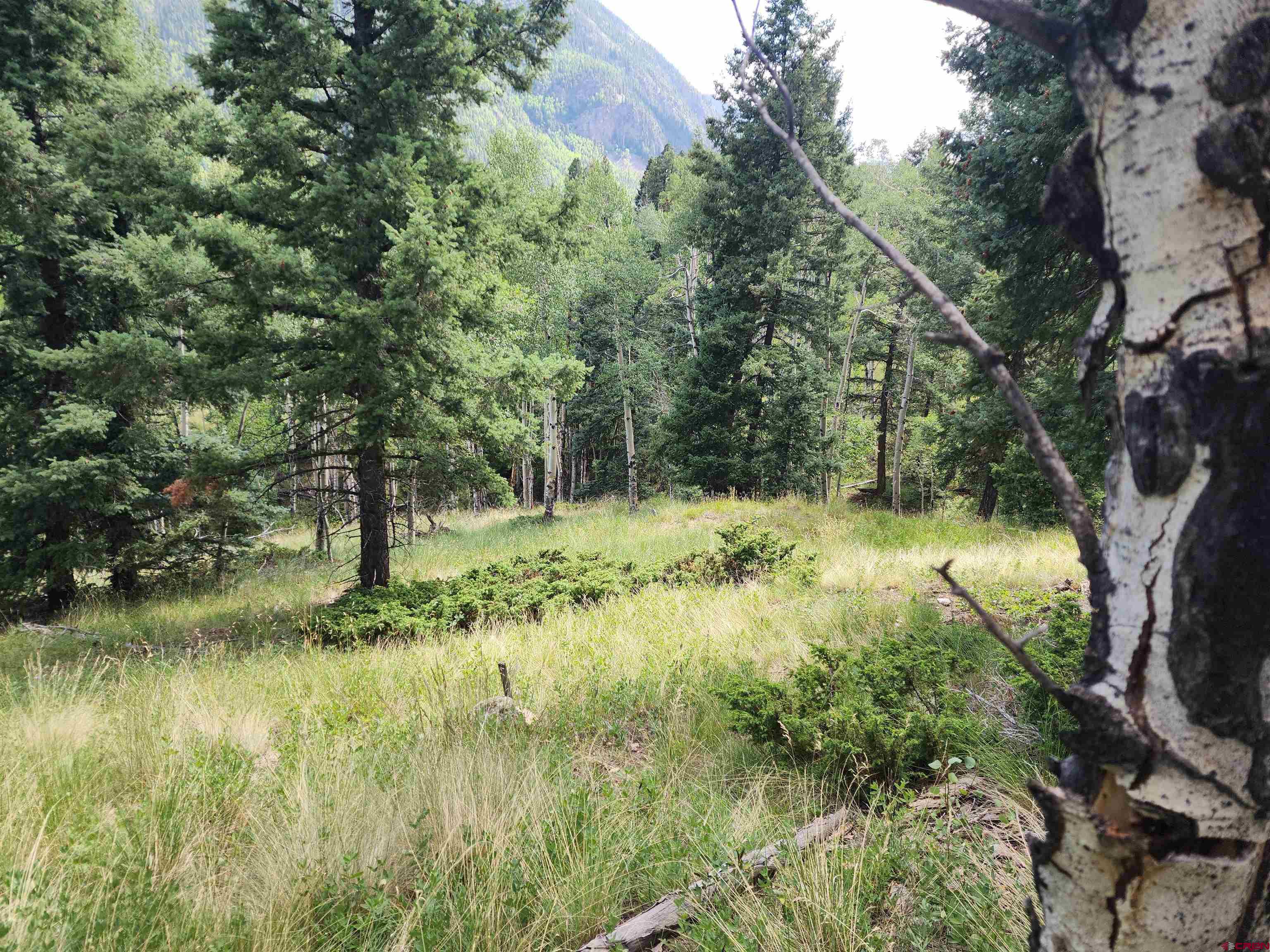 71 Lots 4-6 Del Norte, CO 81132 - Photo 4 of 6 a view of backyard with green space