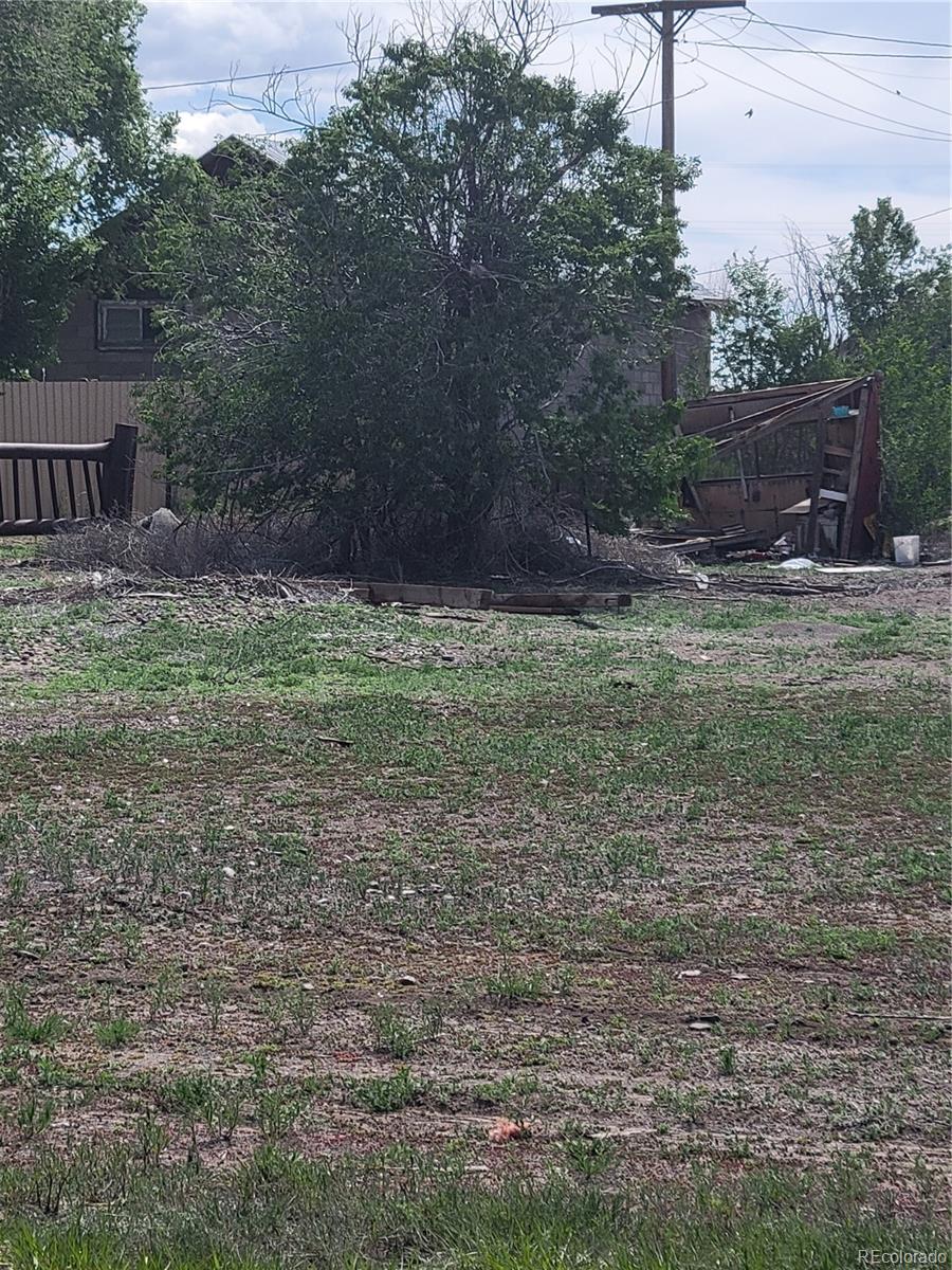11575 2nd Avenue Hooper, CO 81136 - Photo 6 of 10 a backyard of a house with lots of green space