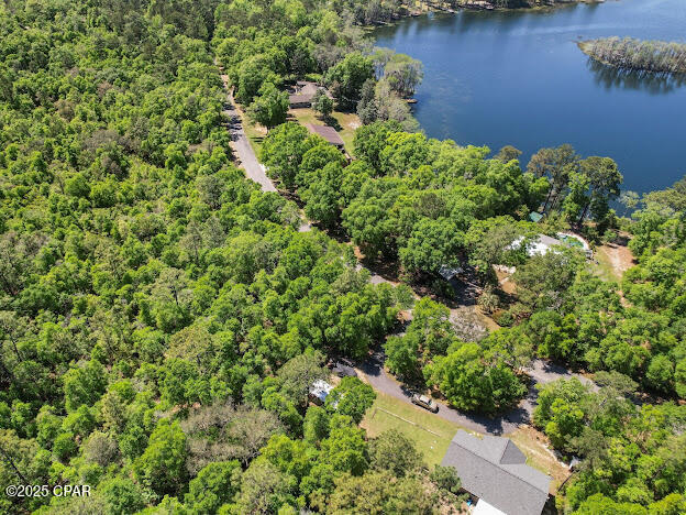 0 Paradise Lakes Road Chipley, FL 32428 - Photo 3 of 7