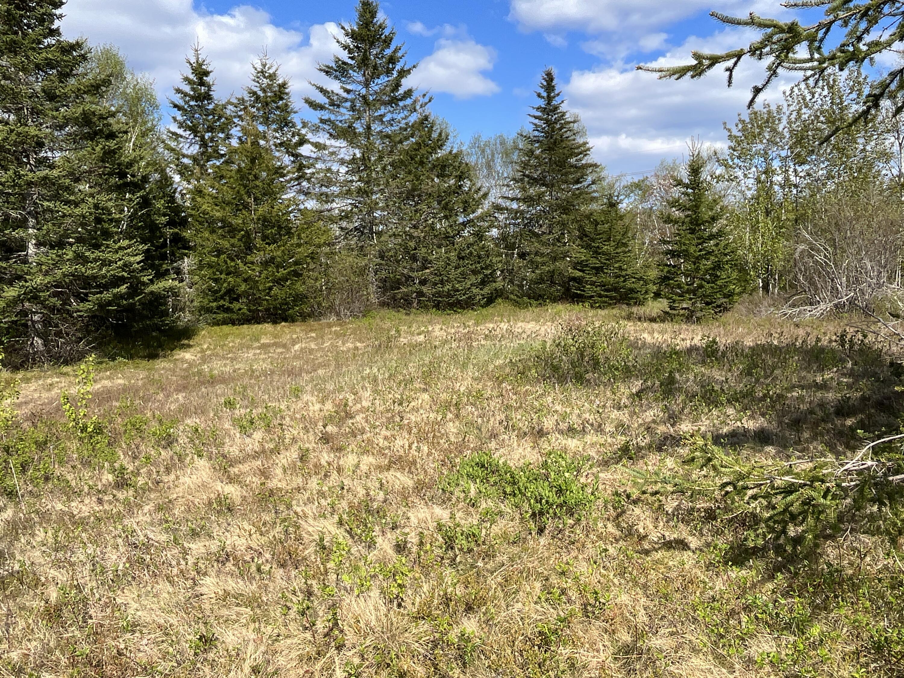 8 Blueberry Shrs Road Jonesport, ME 04649 - Photo 23 of 35 cleared building site