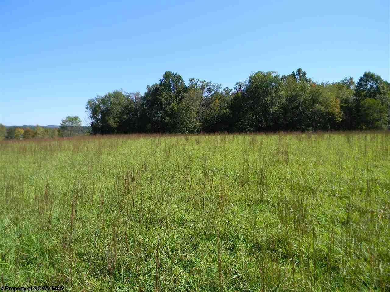 200 Pat Cale Road Masontown, WV 26542 - Photo 11 of 19 Gallery Image 11