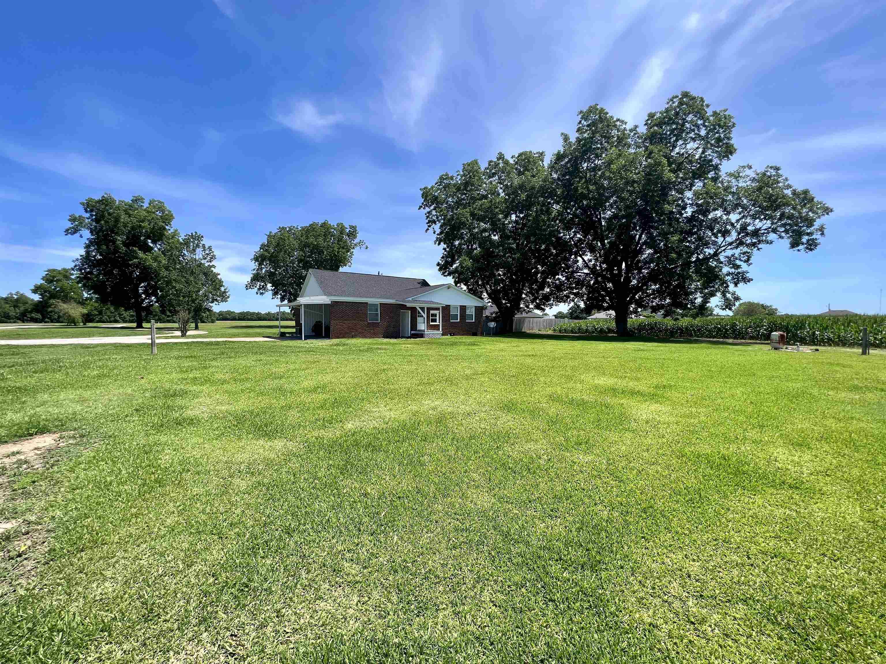16852 Black Devine Road Loxley, AL 36551 - Photo 22 of 24 Back Yard