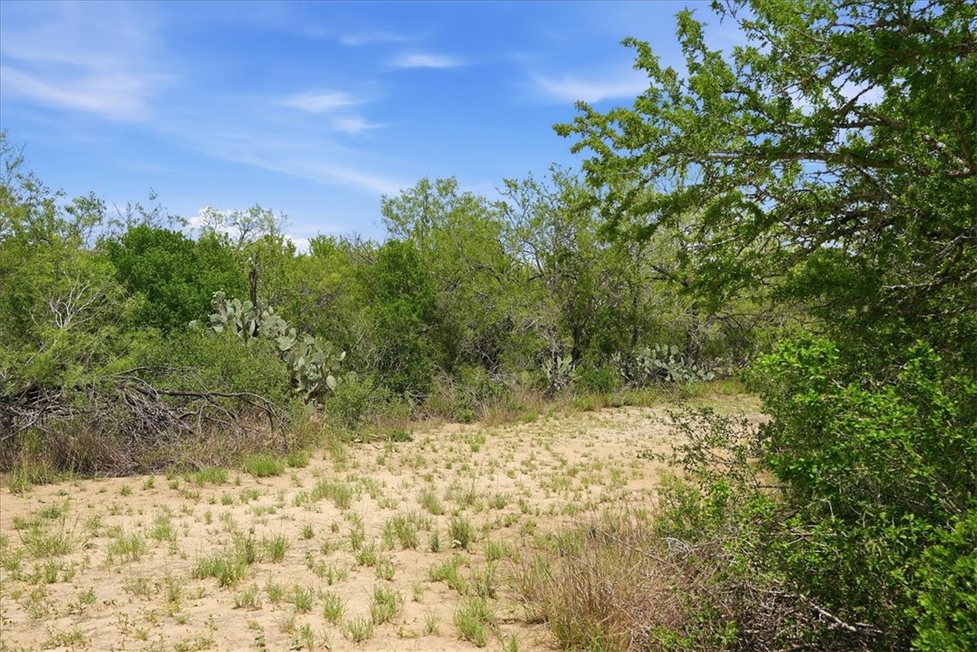 140 Choke Canyon Estates Drive Three Rivers, TX 78071 - Photo 7 of 17