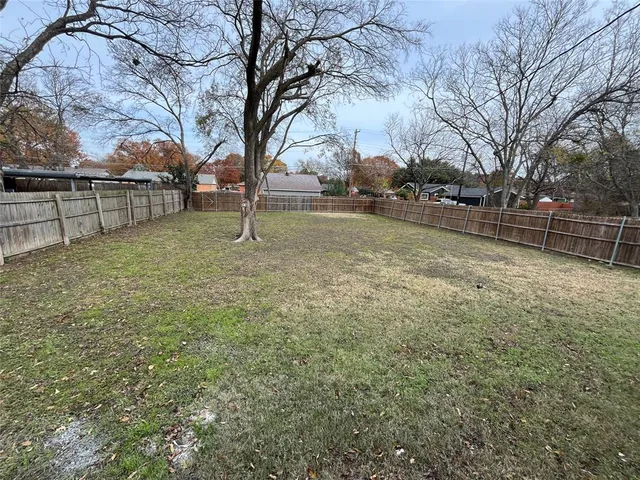 a view of backyard with tree