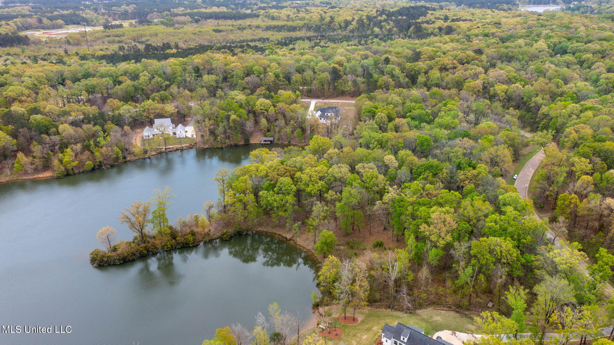 142 Chestnut Hill Road Flora, MS 39071 - Photo 12 of 18 7-web-or-mls-Lot 19-3
