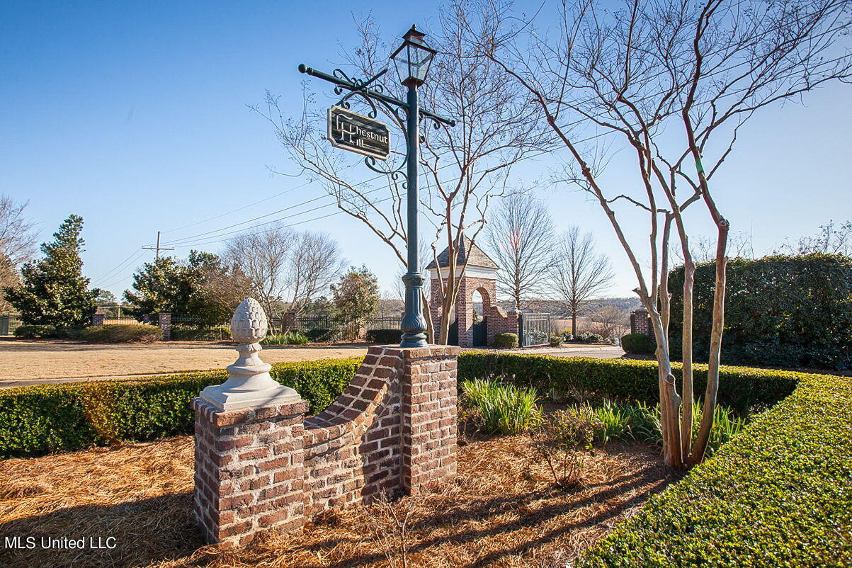 142 Chestnut Hill Road Flora, MS 39071 - Photo 2 of 18 15-web-or-mls-Lot 19-7