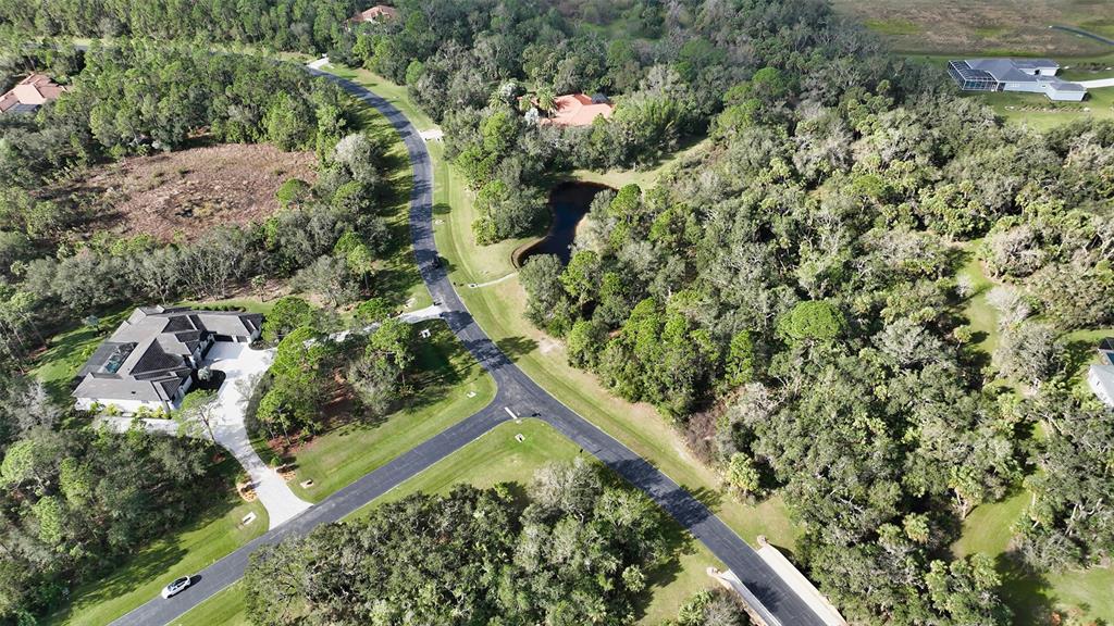 9255 Swaying Branch Road Sarasota, FL 34241 - Photo 20 of 23 a view of a yard with plants