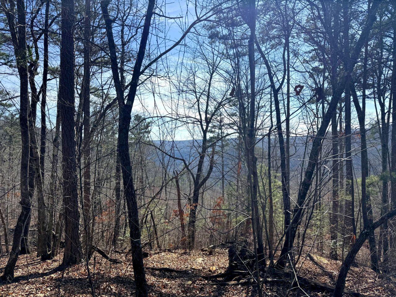 0 Hobbstown Road Dunlap, TN 37327 - Photo 4 of 8 Tract 18 IMG_0028