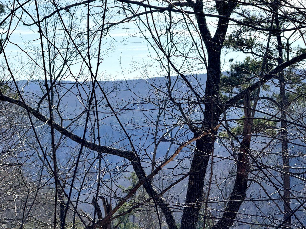 0 Hobbstown Road Dunlap, TN 37327 - Photo 5 of 8 Tract 18 IMG_0029