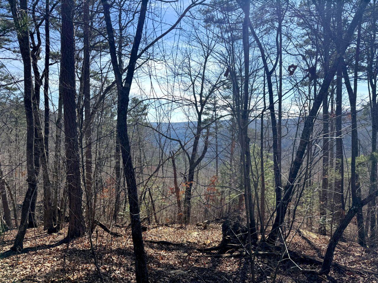 0 Hobbstown Road Dunlap, TN 37327 - Photo 6 of 8 Tract 18 IMG_0031