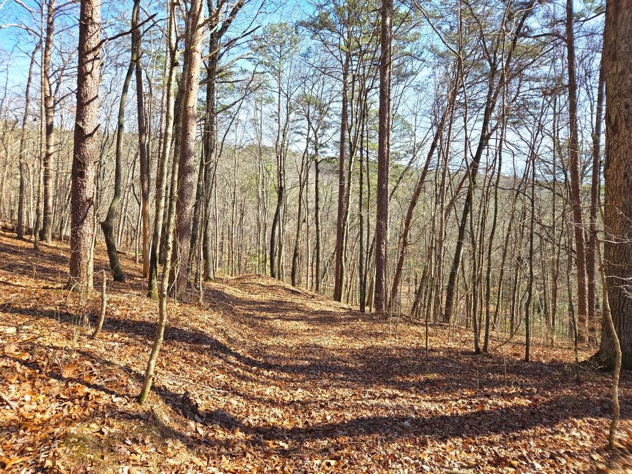 0 Hobbstown Road Dunlap, TN 37327 - Photo 7 of 8 Tract-18-20260211_132022