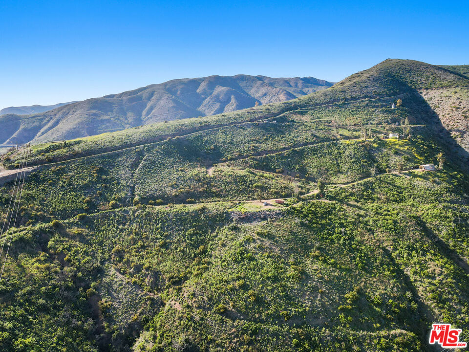 0 Murphy Way Malibu, CA 90265 - Photo 7 of 13 a view of a forest with a mountain