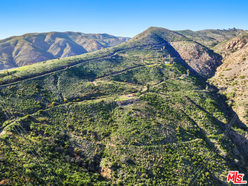 0 Murphy Way Malibu, CA 90265 - Photo 8 of 13 a view of a large tree with a mountain