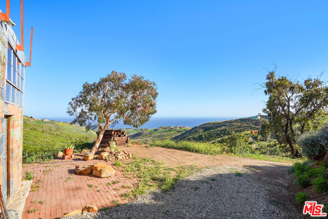 0 Murphy Way Malibu, CA 90265 - Photo 9 of 13 a view of a yard with a tree