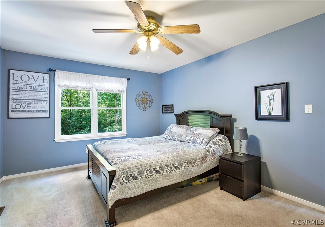 10310 North Donegal Road Chesterfield, VA 23832 - Photo 16 of 31 Gallery Image 16