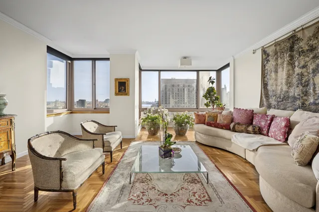 a living room with furniture and a potted plant