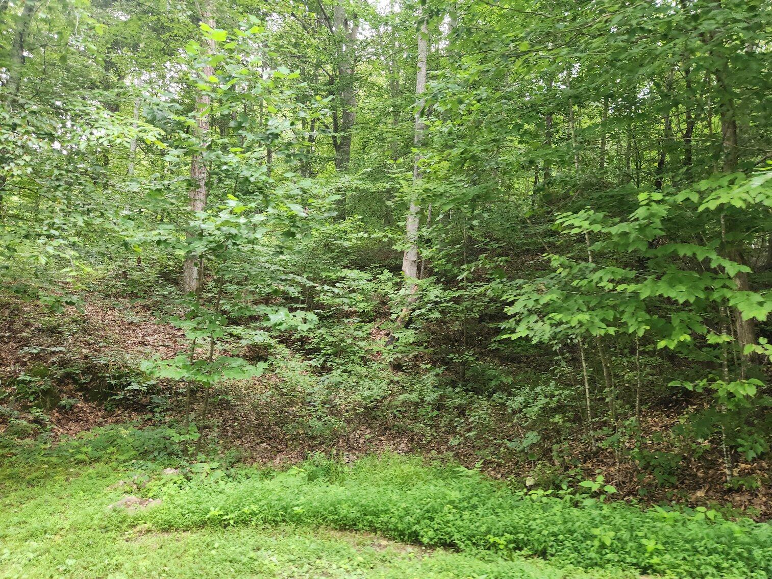 170 Birch Hollow Road Stanton, KY 40380 - Photo 23 of 25