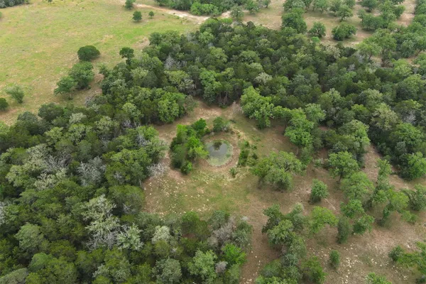 a view of a forest with a houses