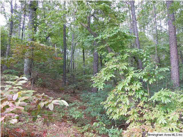 Meherg Road, Unit 28 Rockford, AL 35136 - Photo 24 of 25