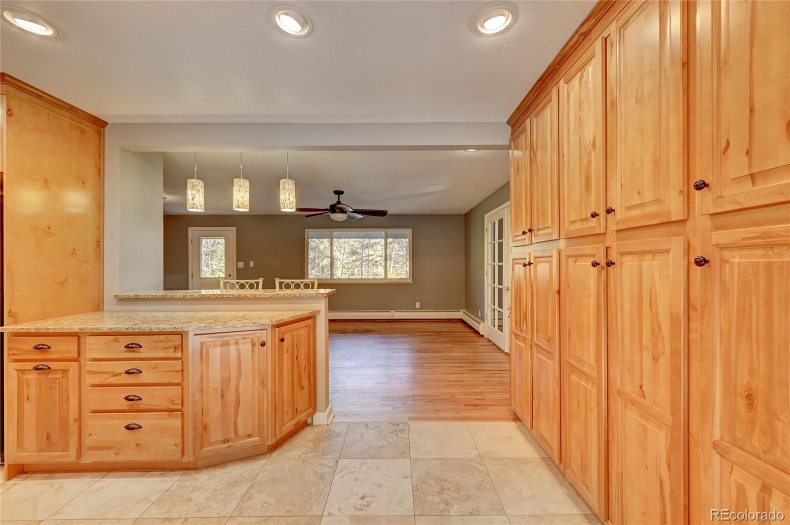29046 Pine Road Evergreen, CO 80439 - Photo 3 of 40 Gallery Image 3