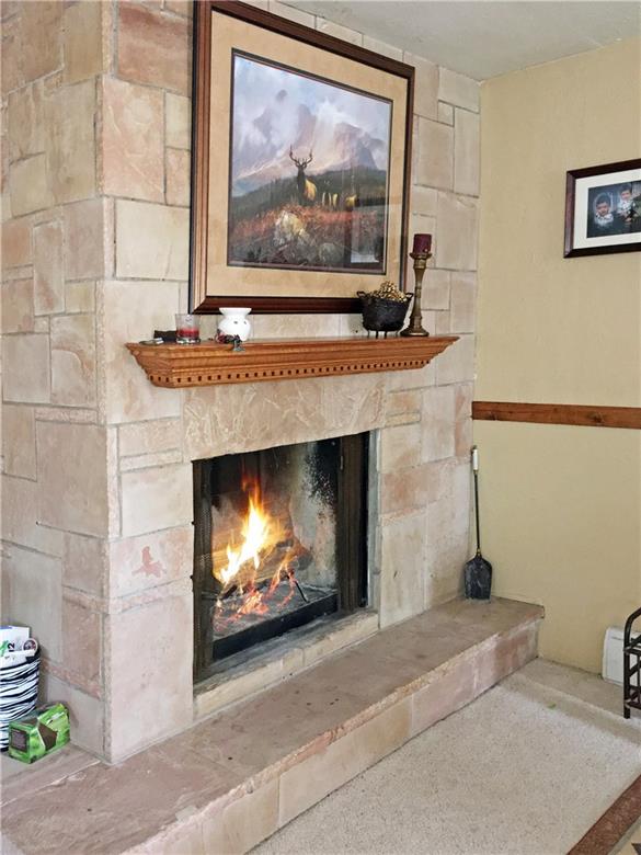 778 Deer Path Road Dillon, CO 80435 - Photo 16 of 17 a living room with a fireplace