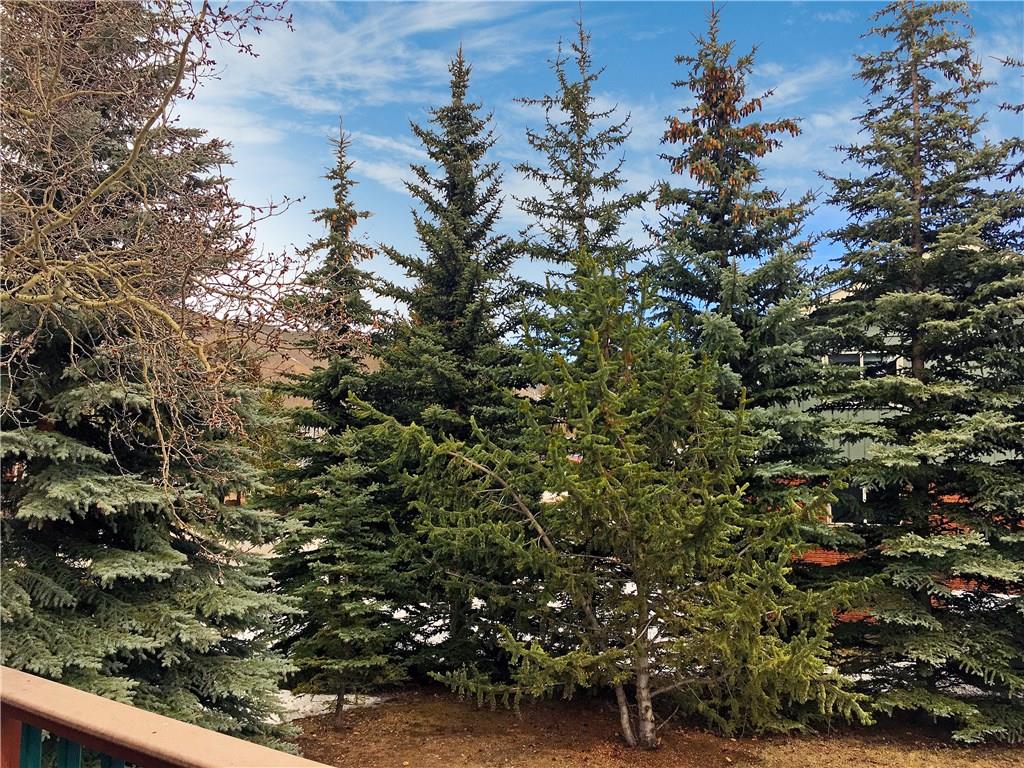 778 Deer Path Road Dillon, CO 80435 - Photo 5 of 17 a view of a tree