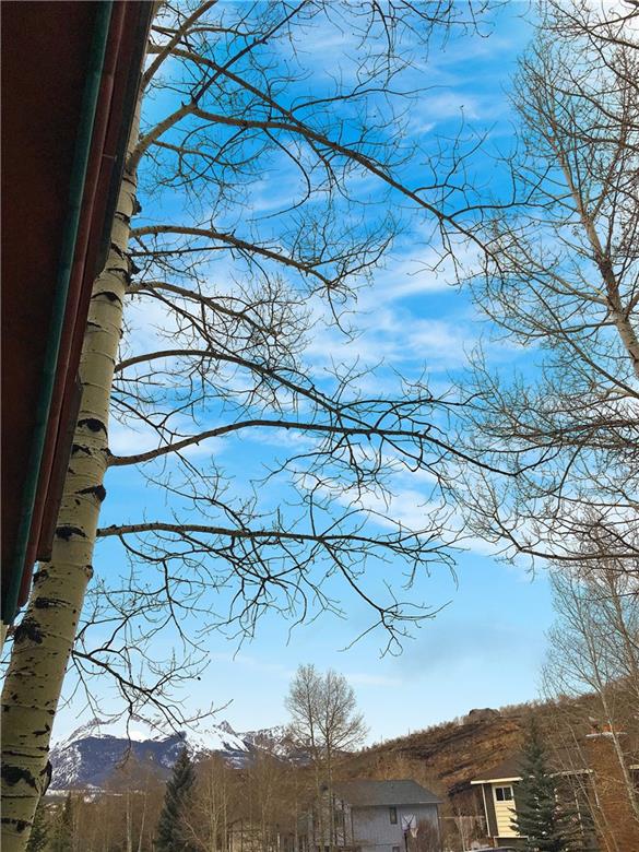 778 Deer Path Road Dillon, CO 80435 - Photo 6 of 17 a view of a tree in a yard