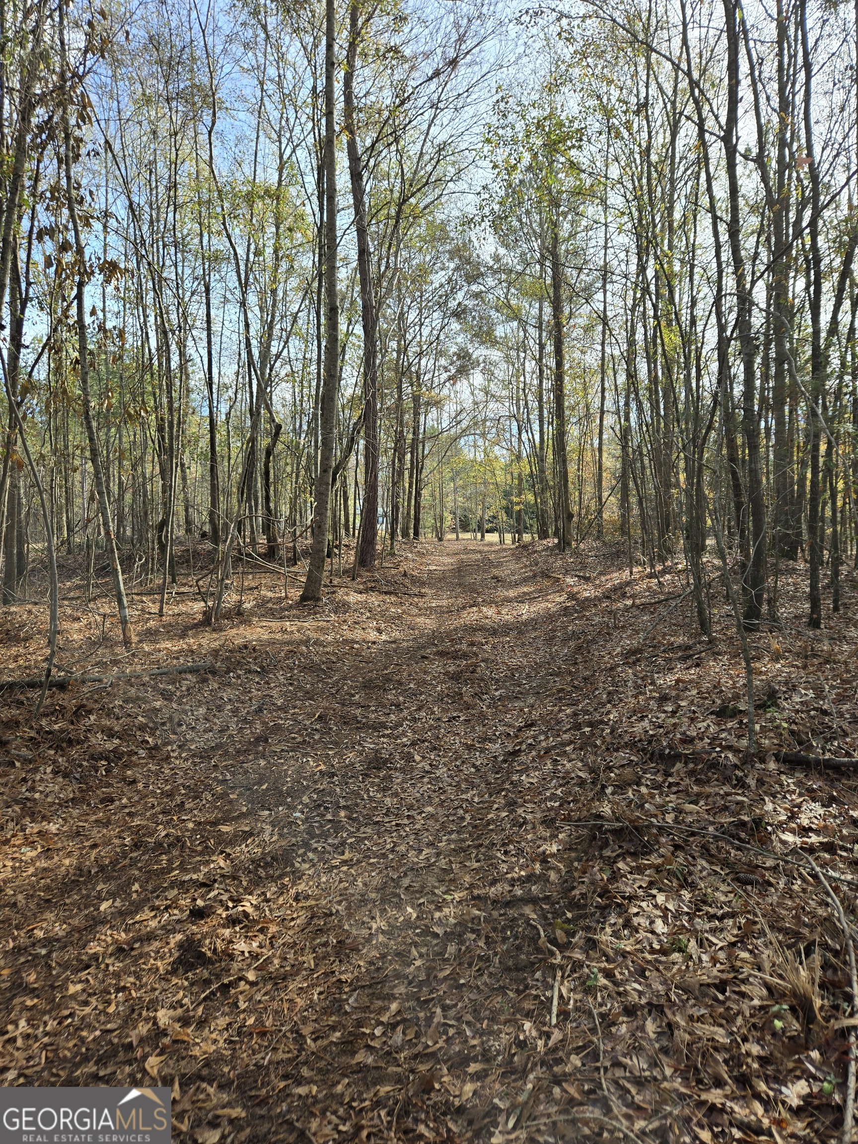 -yatesville R Yatesville Road Barnesville, GA 30204 - Photo 6 of 11