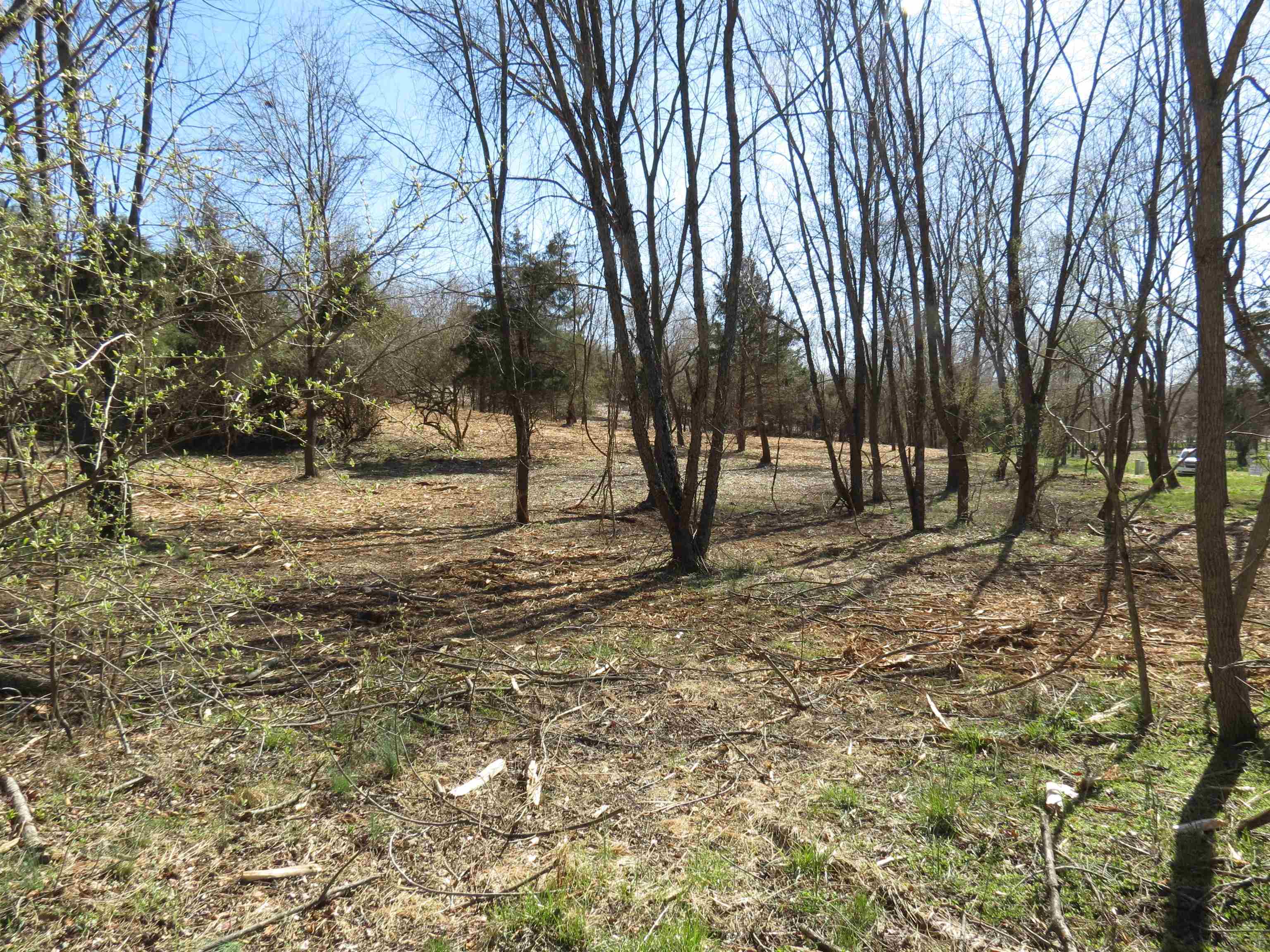 9-crown Ridge Berry Farm Road Staunton, VA 24401 - Photo 12 of 27 Gallery Image 12
