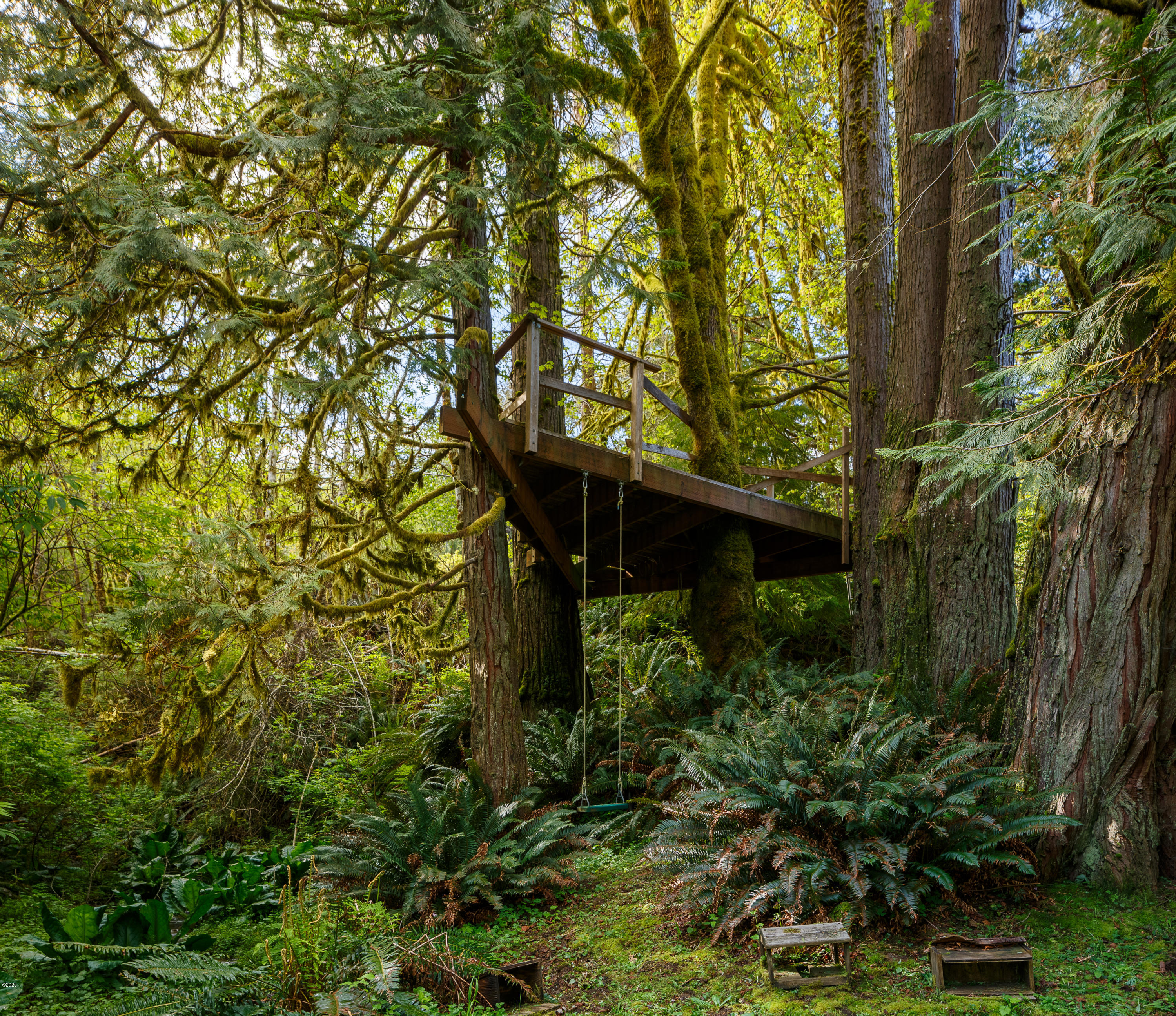1266 North Yachats River Road Yachats, OR 97498 - Photo 73 of 79 Treehouse