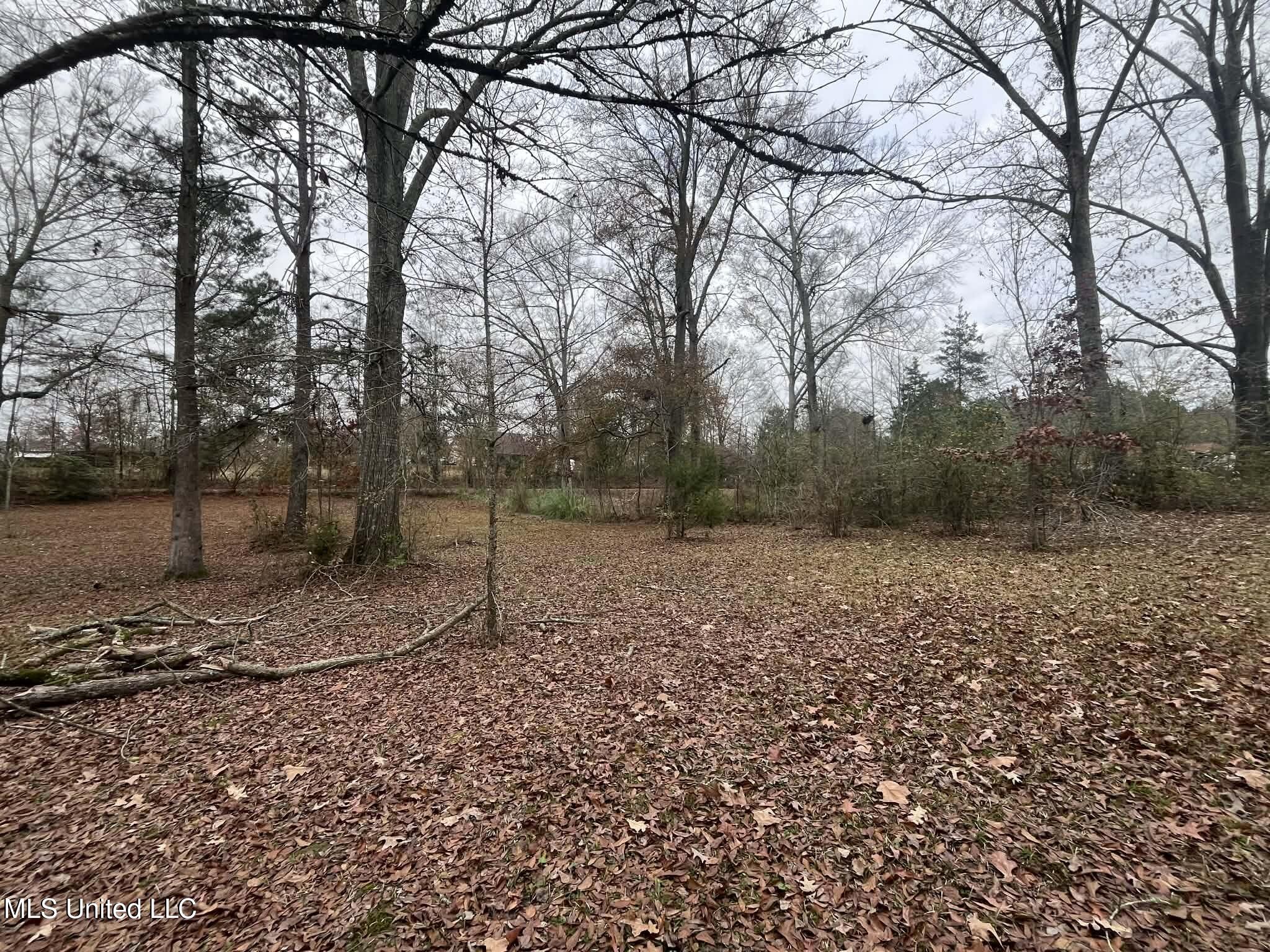 811 North Maple Drive D'Lo, MS 39044 - Photo 36 of 82 1e63eb77-aa46-45af-a556-d6b92ada2ec9