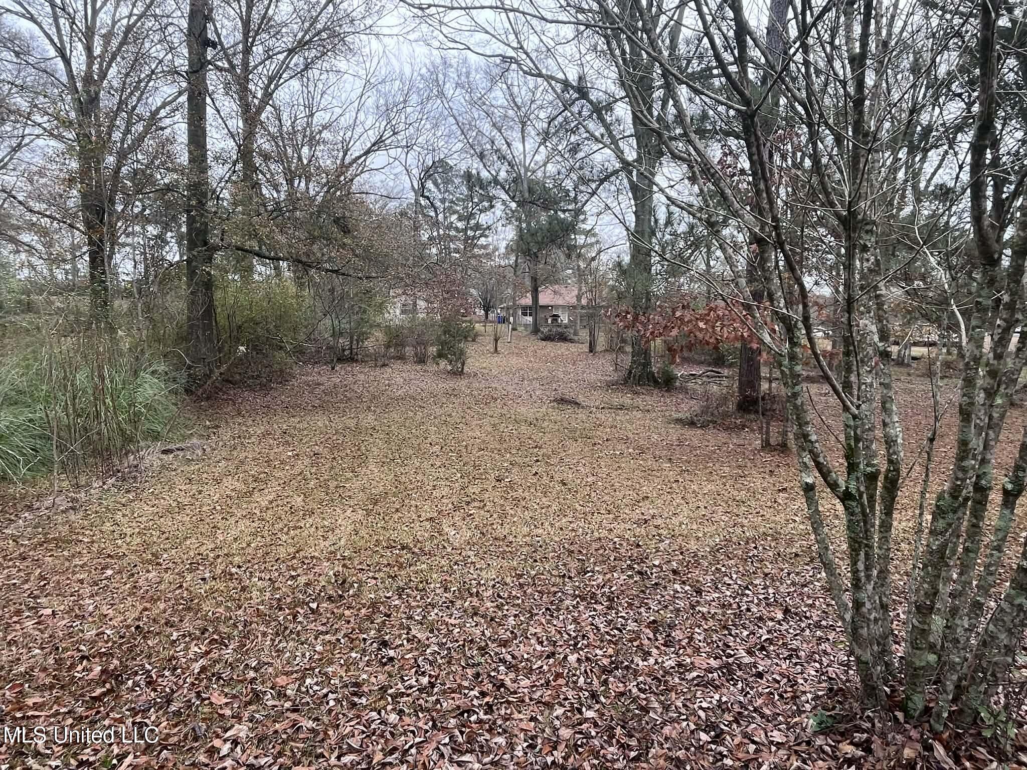 811 North Maple Drive D'Lo, MS 39044 - Photo 50 of 82 fa48ab0f-5be5-4963-8e53-463a53b03842