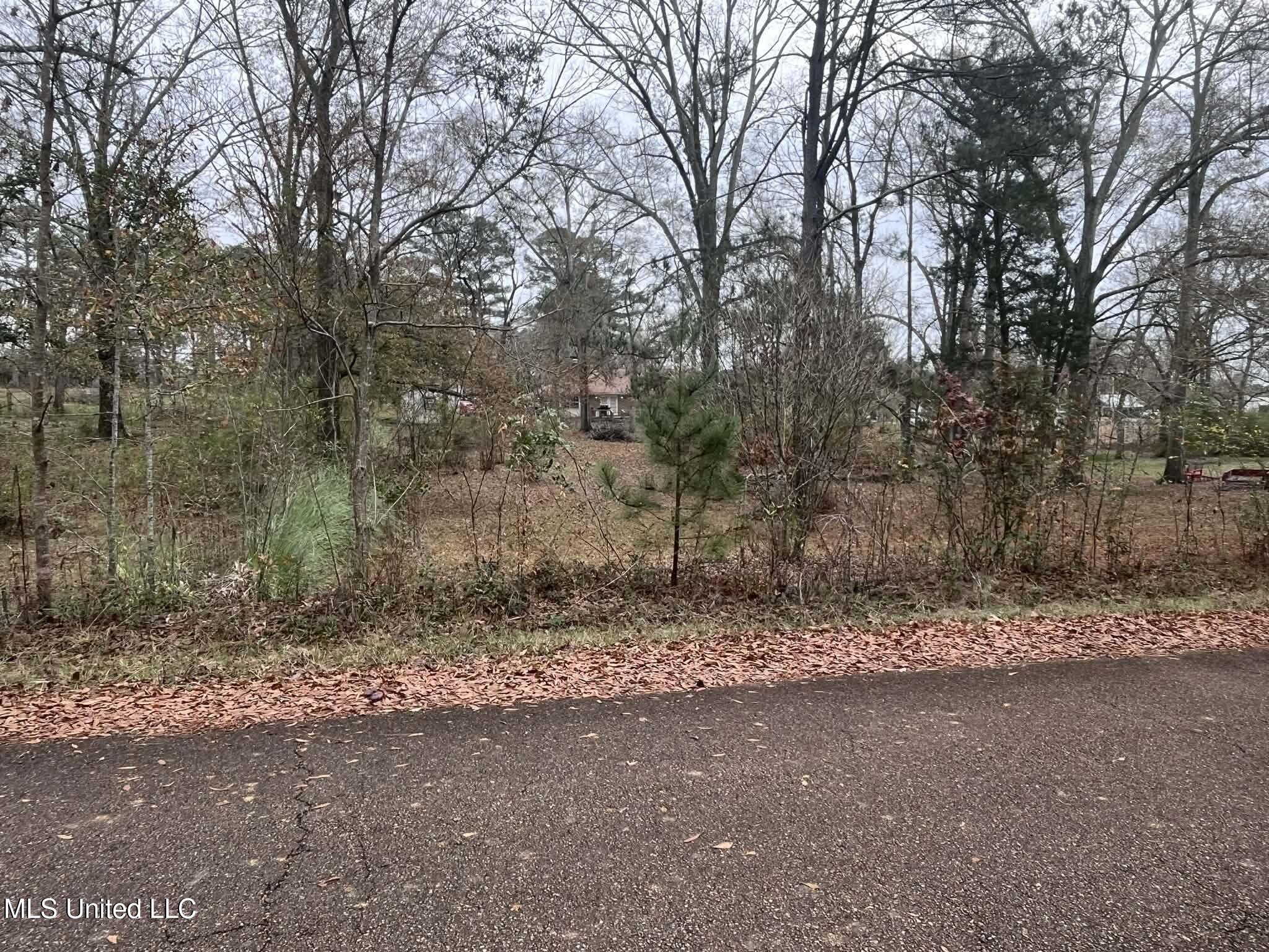 811 North Maple Drive D'Lo, MS 39044 - Photo 51 of 82 1f40a141-0f7f-429a-ac0d-47ea95e32674