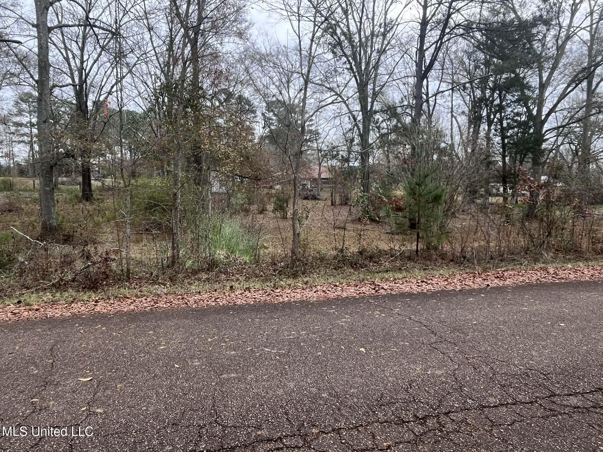 811 North Maple Drive D'Lo, MS 39044 - Photo 52 of 82 6e6cfd05-b16b-4d0b-bdcd-69cb72e5a133