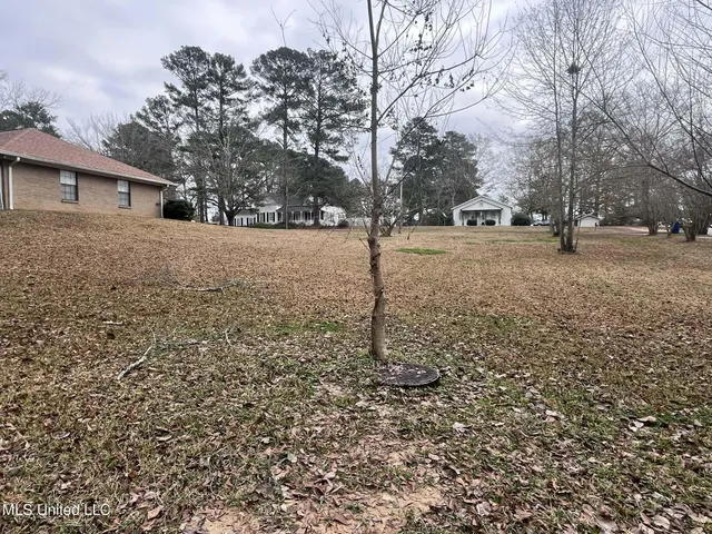 $220,000 | 811 North Maple Drive, D'Lo, MS 39044