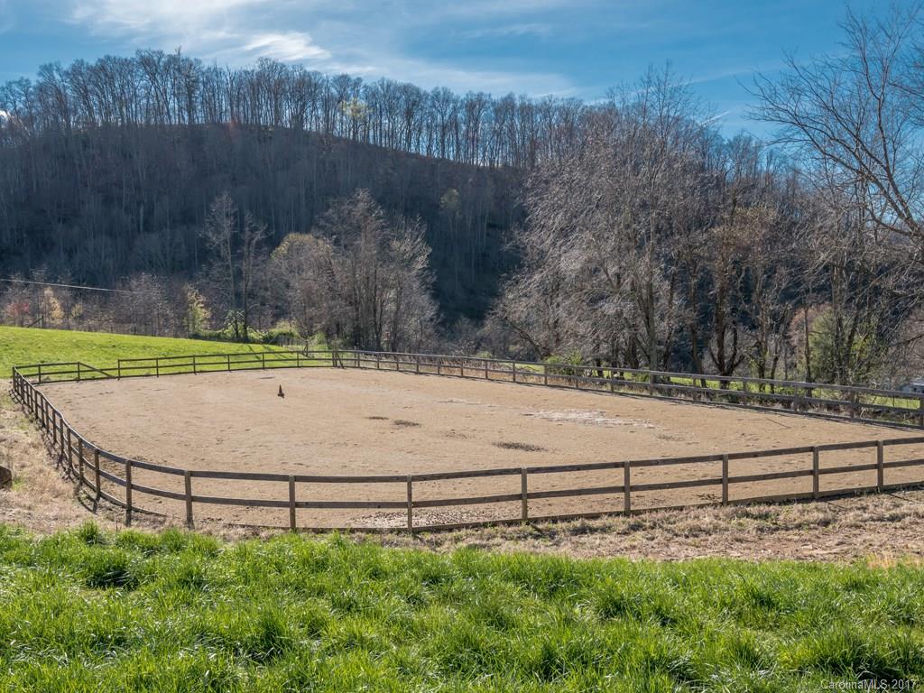 755 Poplar Cove Road Clyde, NC 28721 - Photo 20 of 24 a view of a yard