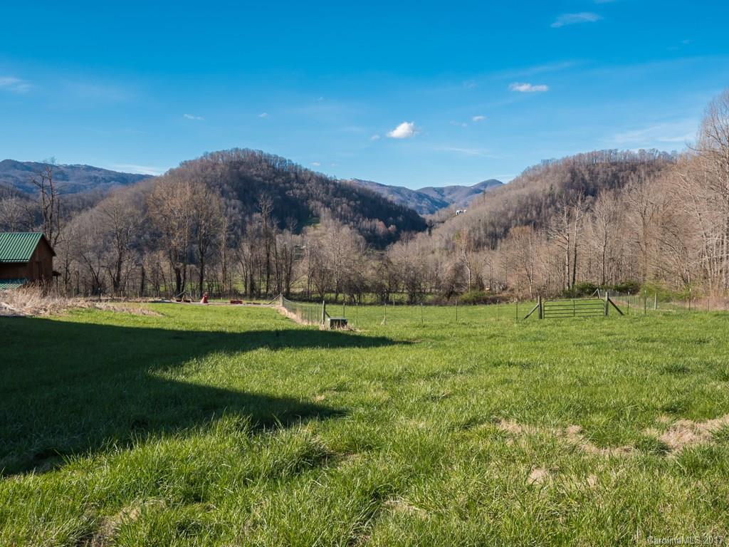 755 Poplar Cove Road Clyde, NC 28721 - Photo 22 of 24 a view of a garden