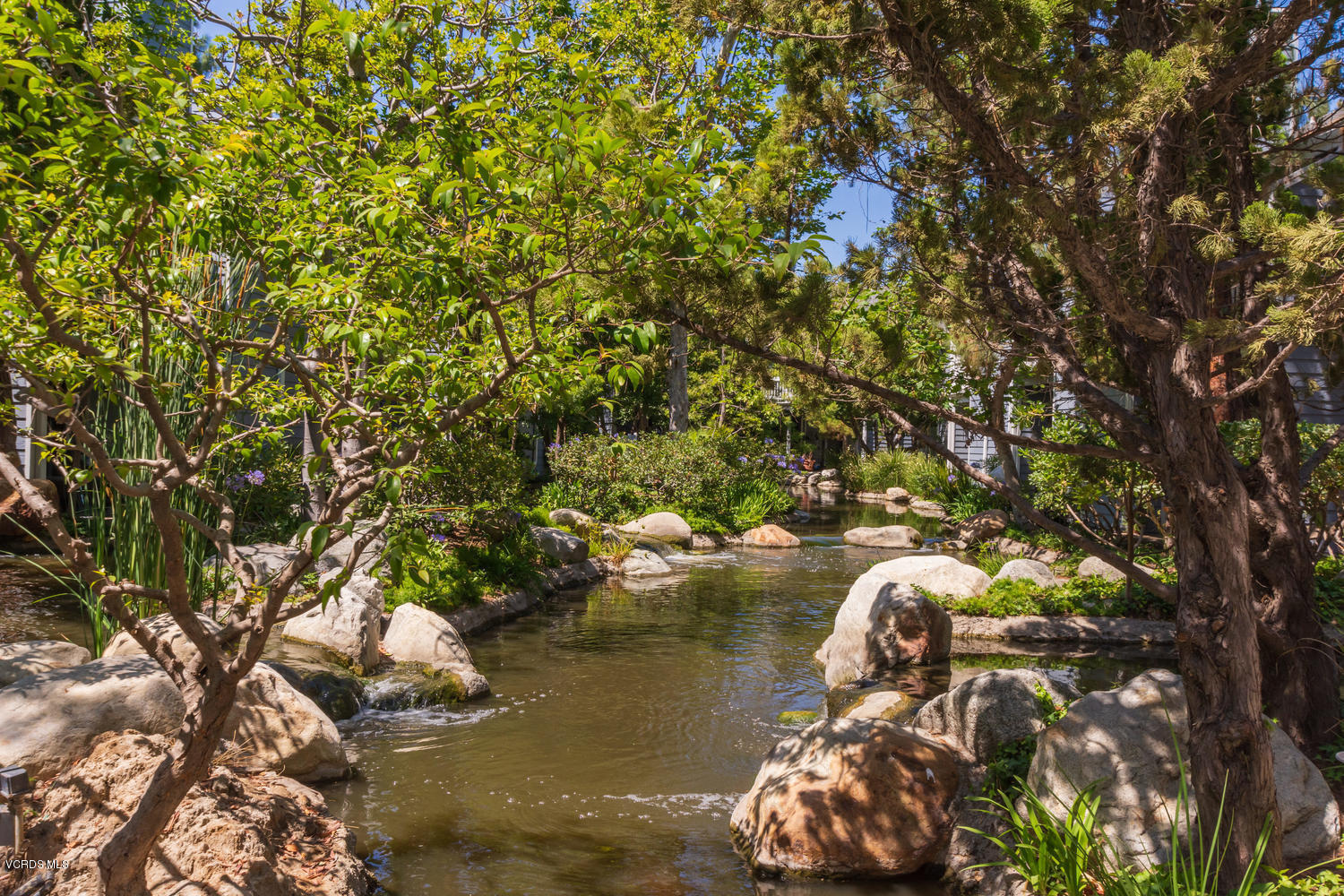 699 Arneill Road Camarillo, CA 93010 - Photo 25 of 33 Sycamore Creek