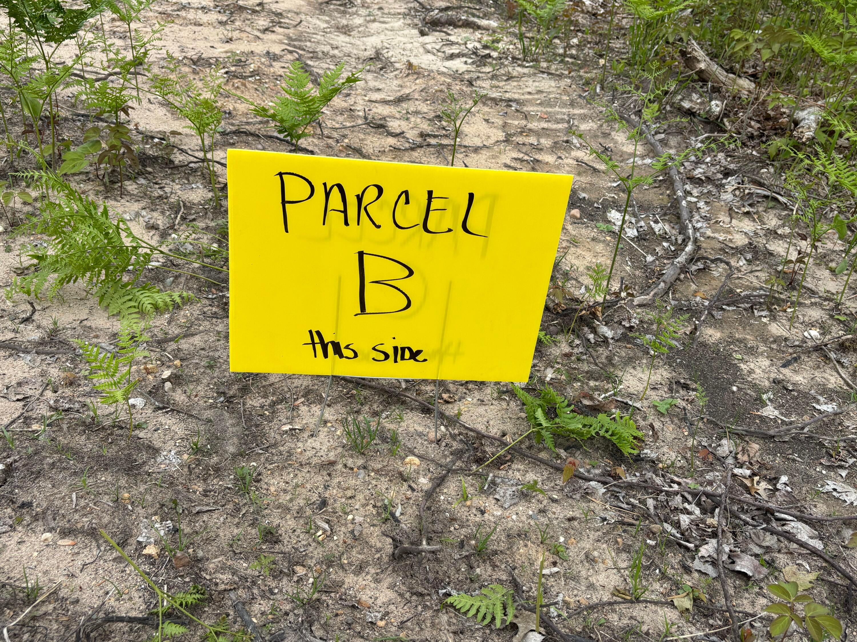 Parcel #b Townline Road Lewiston, MI 49756 - Photo 4 of 16 Gallery Image 4