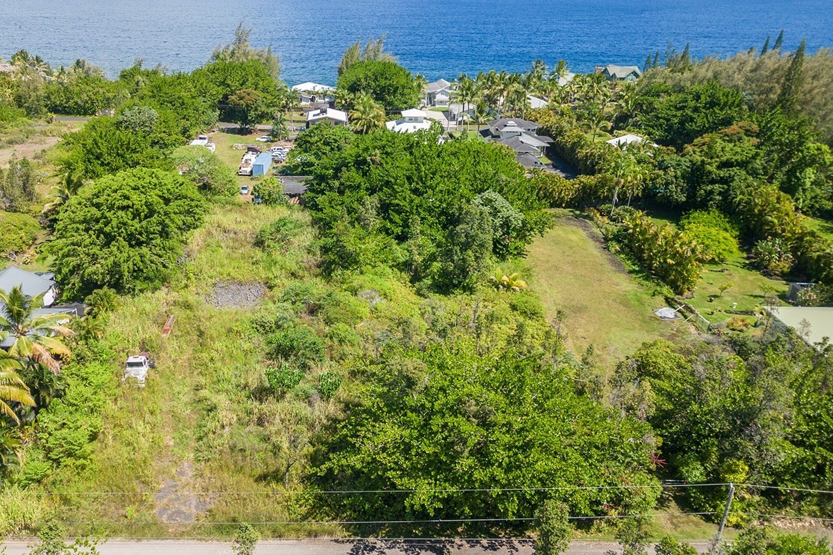 358 Lemiwai Road Keaau, HI 96749 - Photo 1 of 10 Gallery Image 1