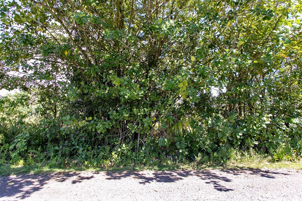 358 Lemiwai Road Keaau, HI 96749 - Photo 4 of 10 Gallery Image 4