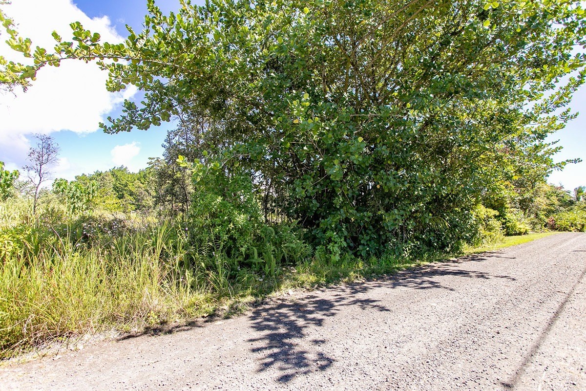 358 Lemiwai Road Keaau, HI 96749 - Photo 5 of 10 Gallery Image 5