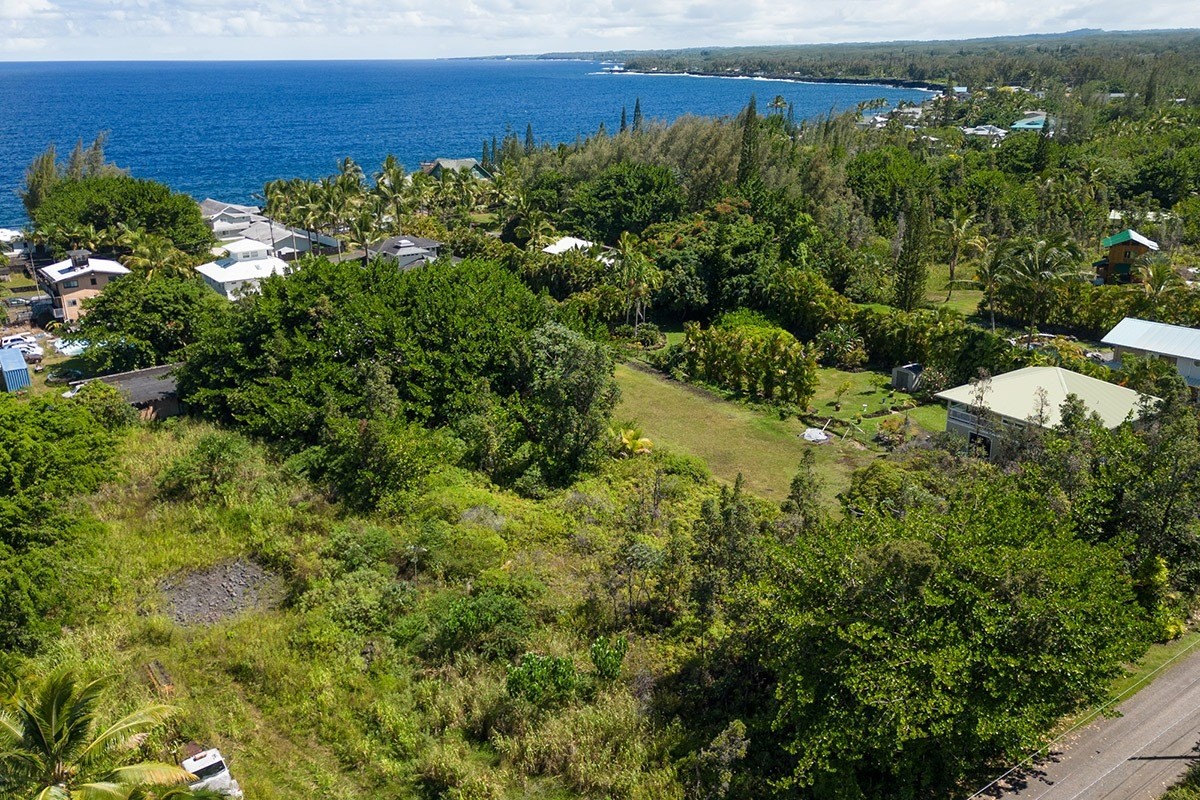 358 Lemiwai Road Keaau, HI 96749 - Photo 6 of 10 Gallery Image 6