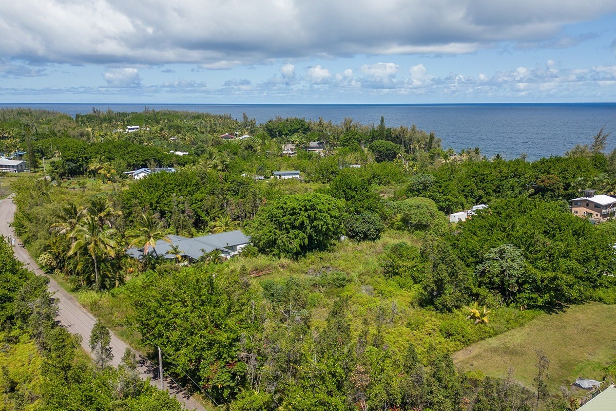 358 Lemiwai Road Keaau, HI 96749 - Photo 9 of 10 Gallery Image 9