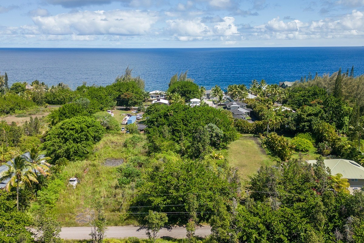 358 Lemiwai Road Keaau, HI 96749 - Photo 10 of 10 Gallery Image 10