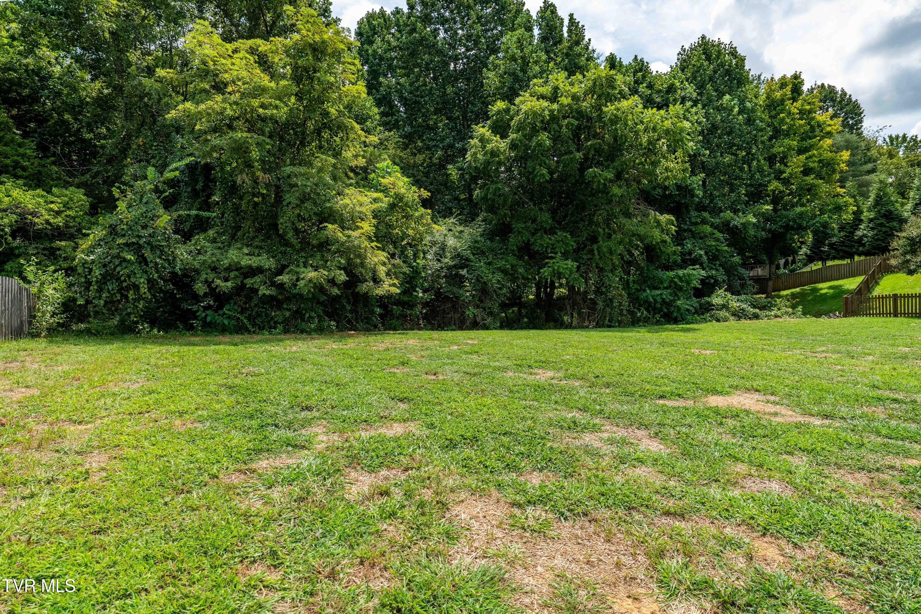 1308 Walnut Grove Road Jonesborough, TN 37659 - Photo 23 of 54 1308 Walnut Grove Rd (15 of 52)