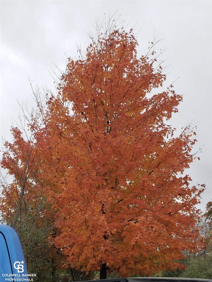 Jordan Road Melvin, MI 48454 - Photo 5 of 21 50072475-4.JPG