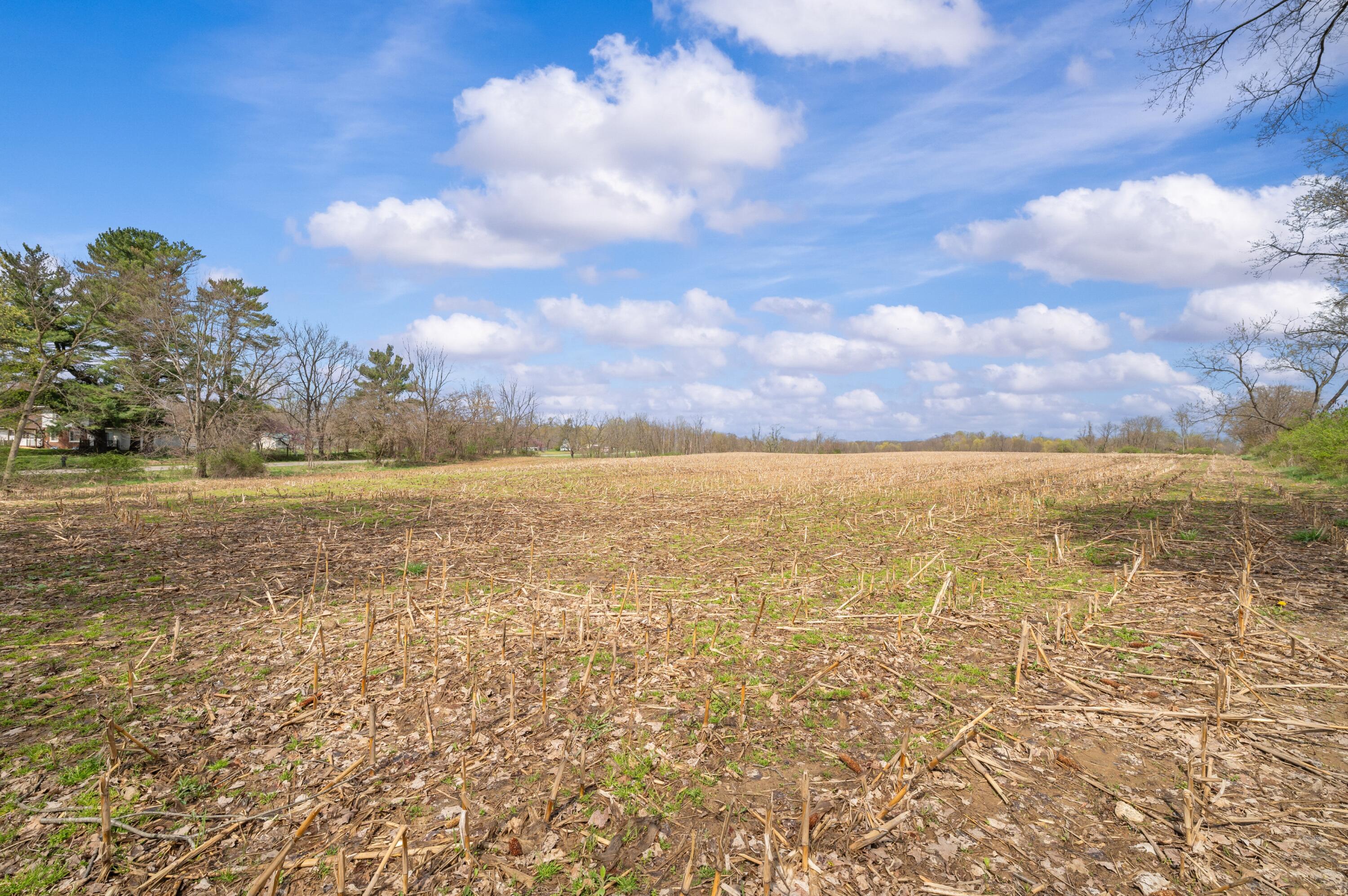 Lot B Broceus School Road Buchanan, MI 49107 - Photo 8 of 23 Ground View