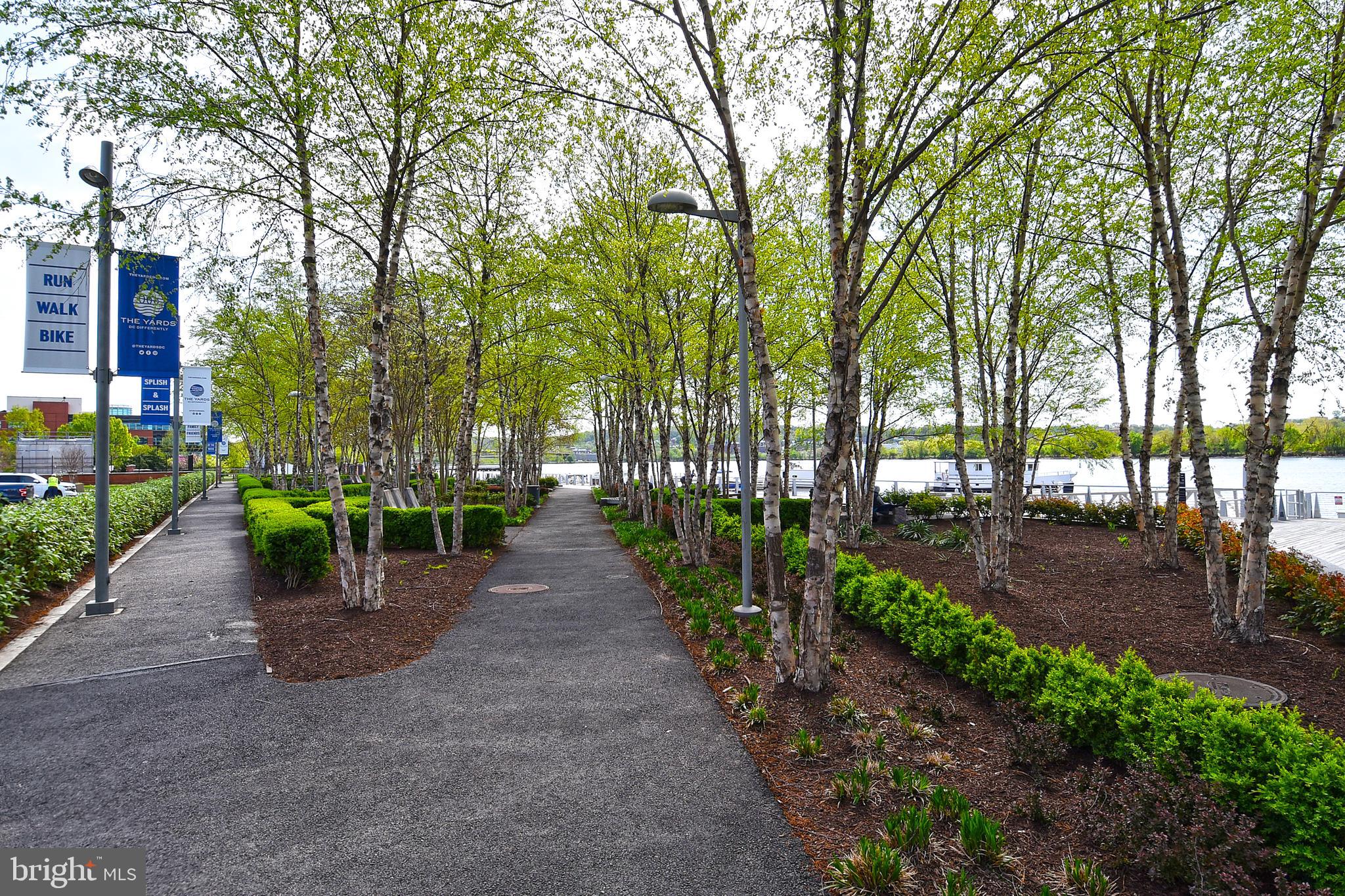 1300 4th Street Southeast, Unit 413 Washington, DC 20003 - Photo 47 of 47 a view of a park with large trees