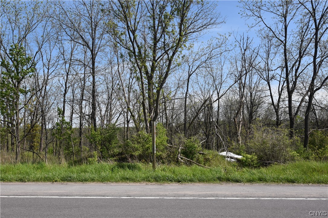 0 Middle Settlement Road New Hartford, NY 13413 - Photo 2 of 8